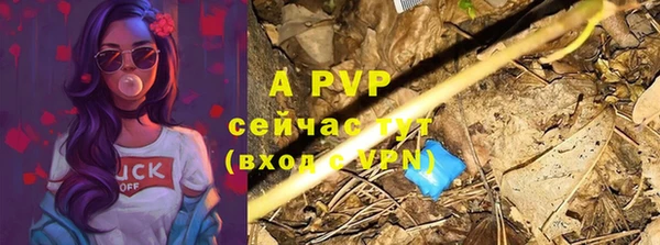 кокс Бородино
