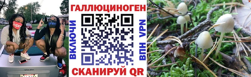 Галлюциногенные грибы GOLDEN TEACHER  купить  сайты  Сыктывкар 